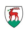 Miasto Jelenia Góra Logo 